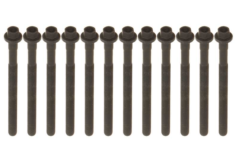Set prezoane chiulasa